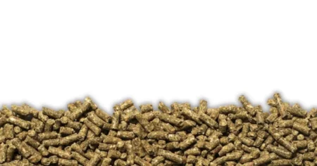 Goat Feed Pellet