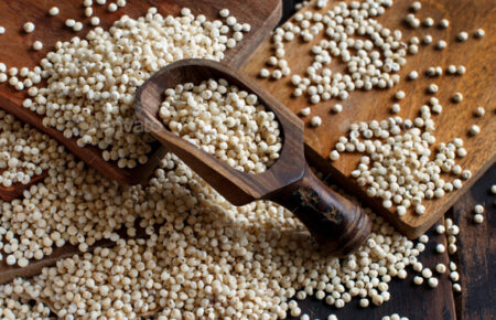 White Sorghum (Jowar)