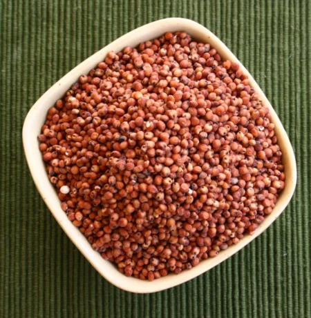 Red Sorghum (Red Jowar)