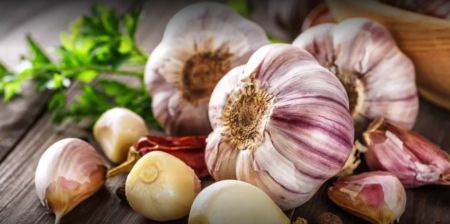 Garlic